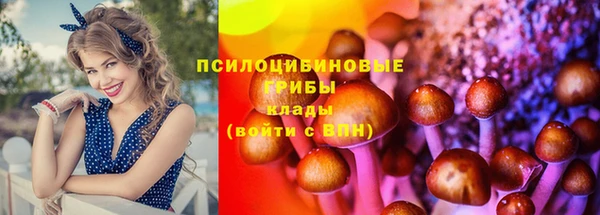 ГАЛЛЮЦИНОГЕННЫЕ ГРИБЫ Богородск