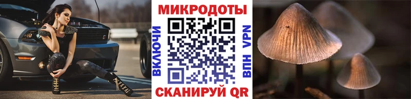 Псилоцибиновые грибы Psilocybe  как найти наркотики  Котово 