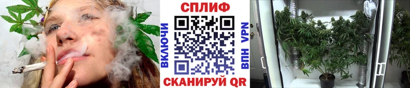 МАРИХУАНА SATIVA & INDICA  мориарти клад  Котово 